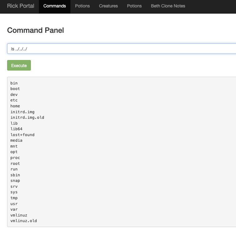 Web Command LS Root Output