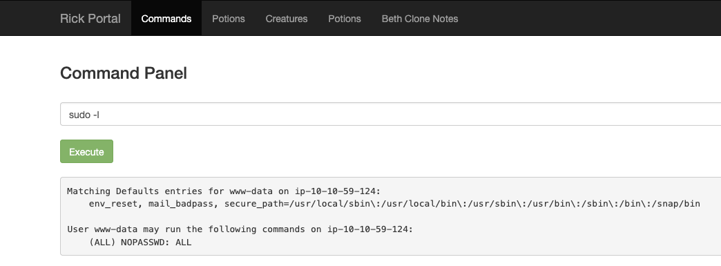 Web Command Sudo Output